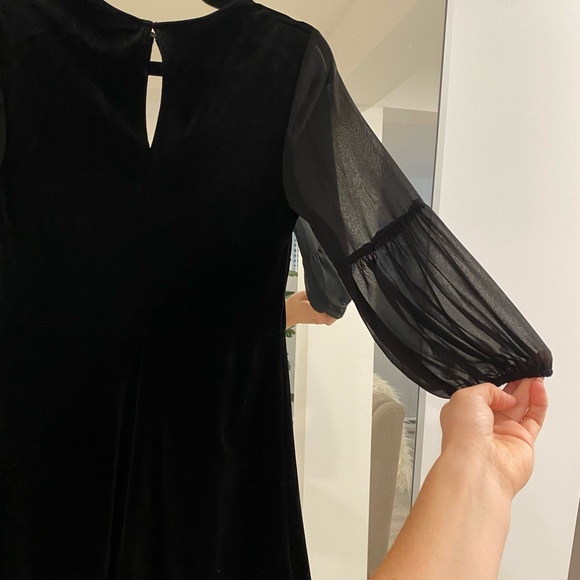 BCBG dress. Velvet and sheer. NEVER BEEN WORN - Picture 7 of 8